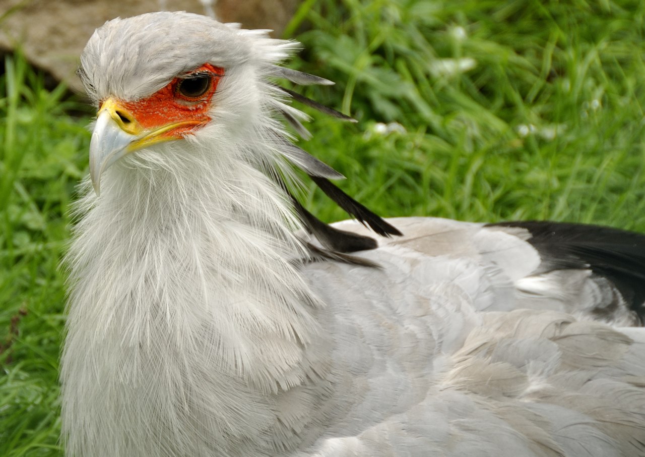 Allwetterzoo Muenster