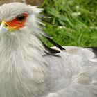 Allwetterzoo Muenster