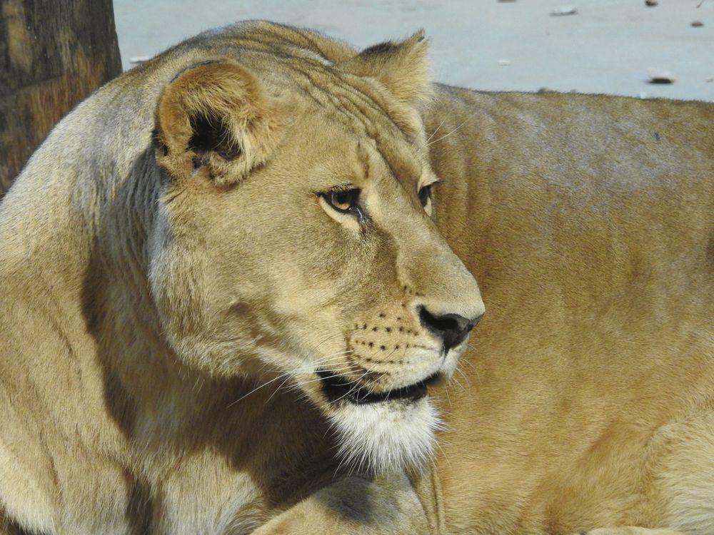 Allwetterzoo Münster