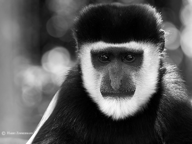 Allwetterzoo Münster