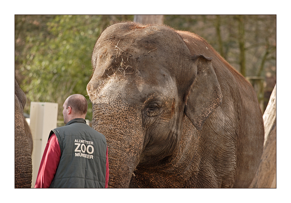 Allwetterzoo Münster