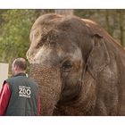 Allwetterzoo Münster