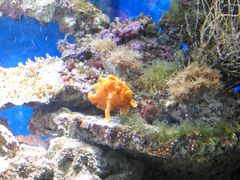 Allwetterzoo Münster