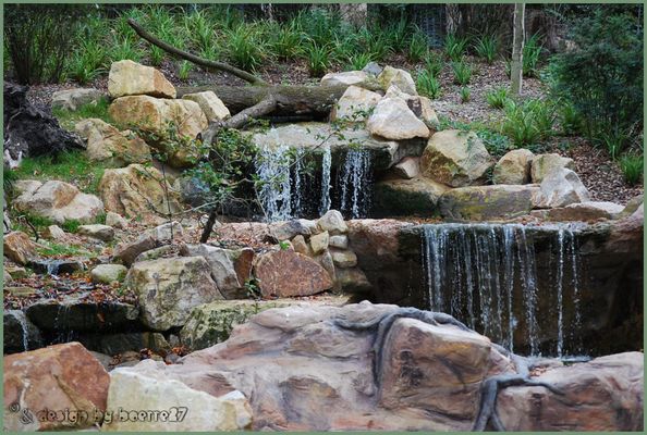 AllwetterzooMuenster