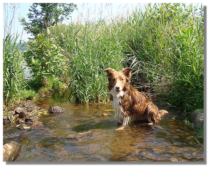 Ally..hat auch im Wasser alles im Blick:-))