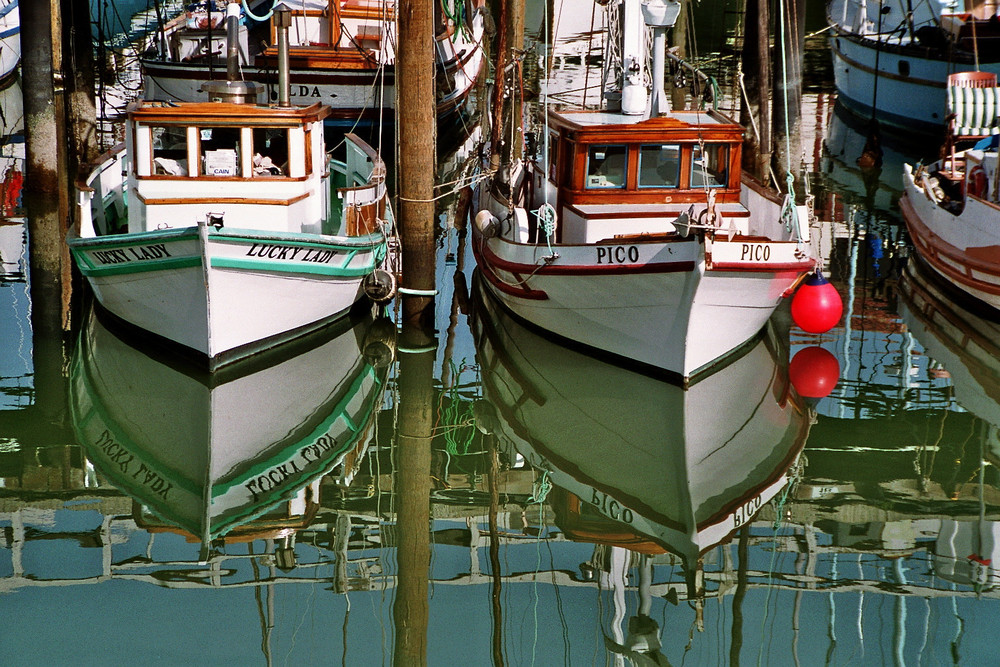 Allzeit bereit am Pier 39