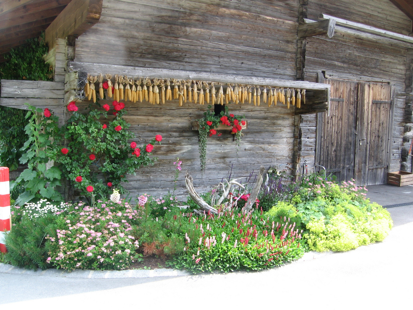 Alm am wilden Kaiser oberhalb des Hintersteiner Sees