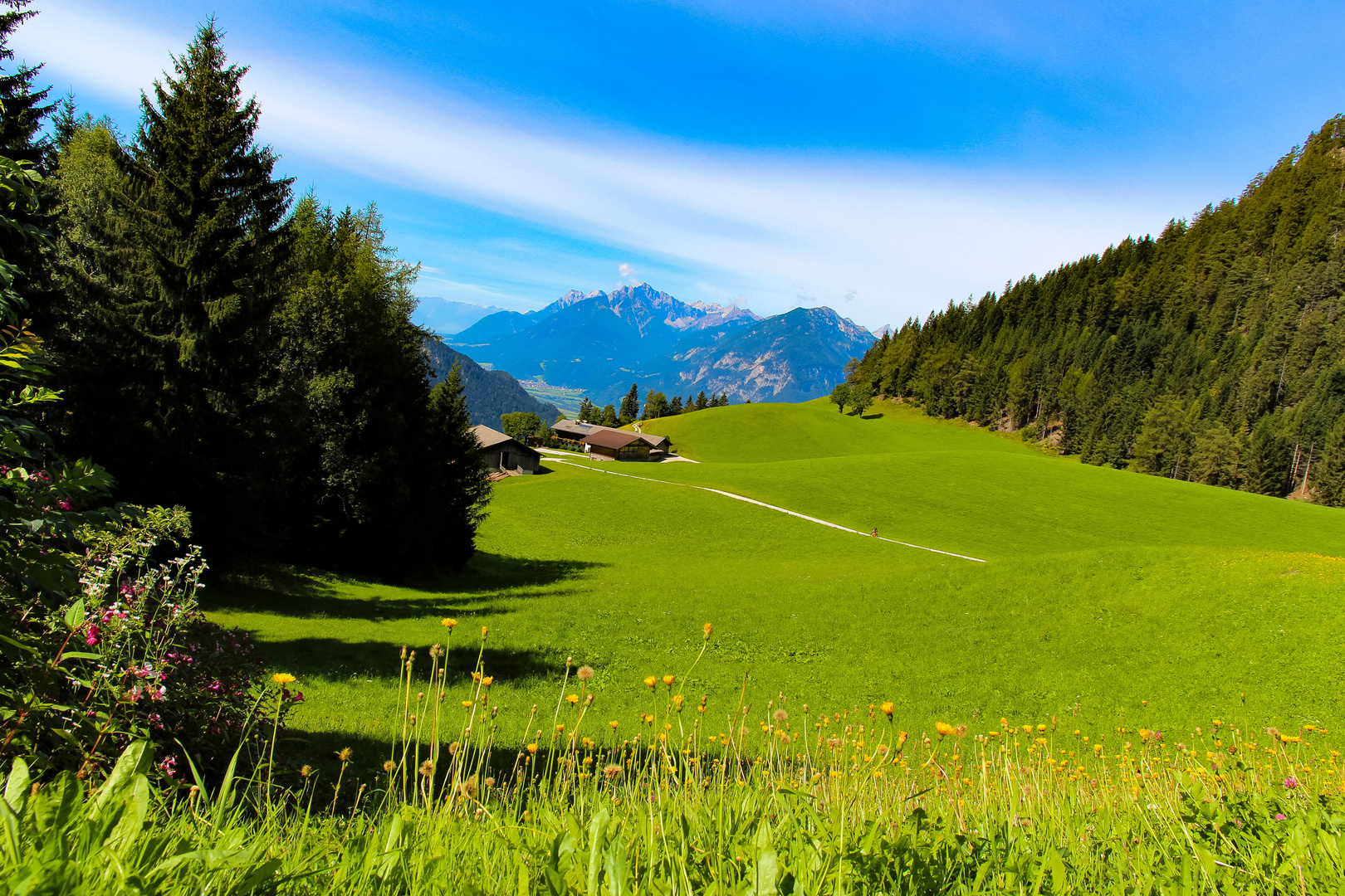 Alm auf dem Reither Kogel