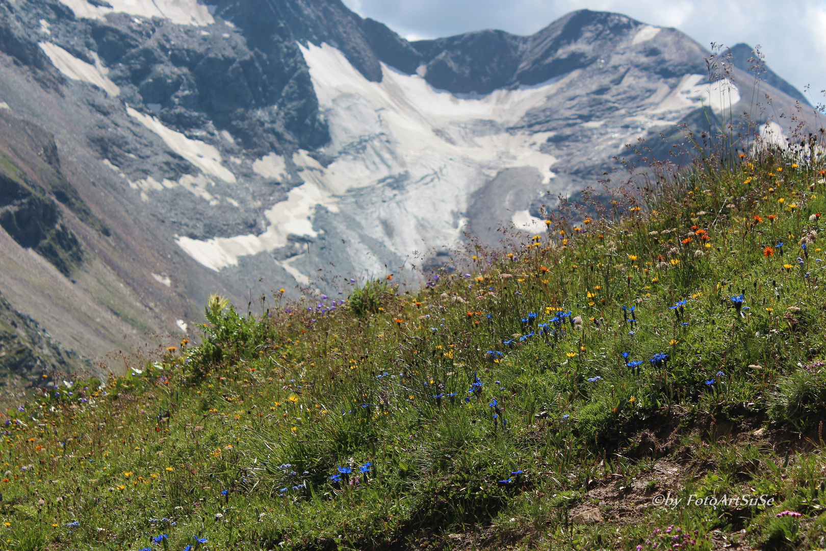 Alm / Edelweißspitze