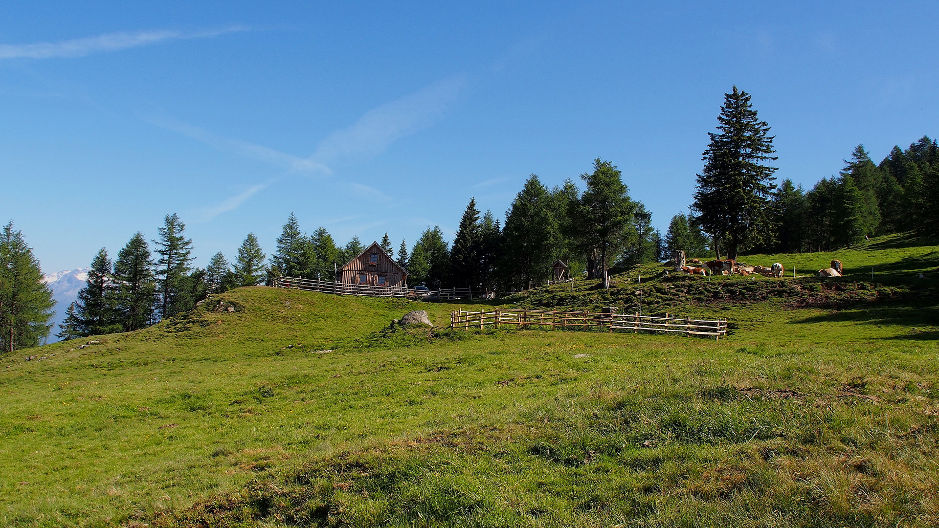 Alm-Idylle auf 1860 m in Kärnten am Tschiernock