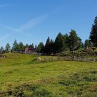 Alm-Idylle auf 1860 m in Kärnten am Tschiernock