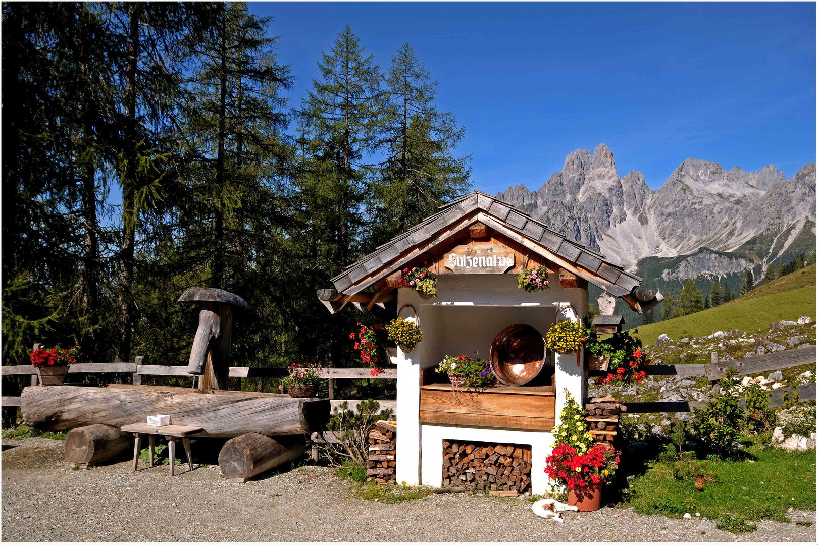 Alm - Idylle auf der Krahlehenhütte in Filzmoos