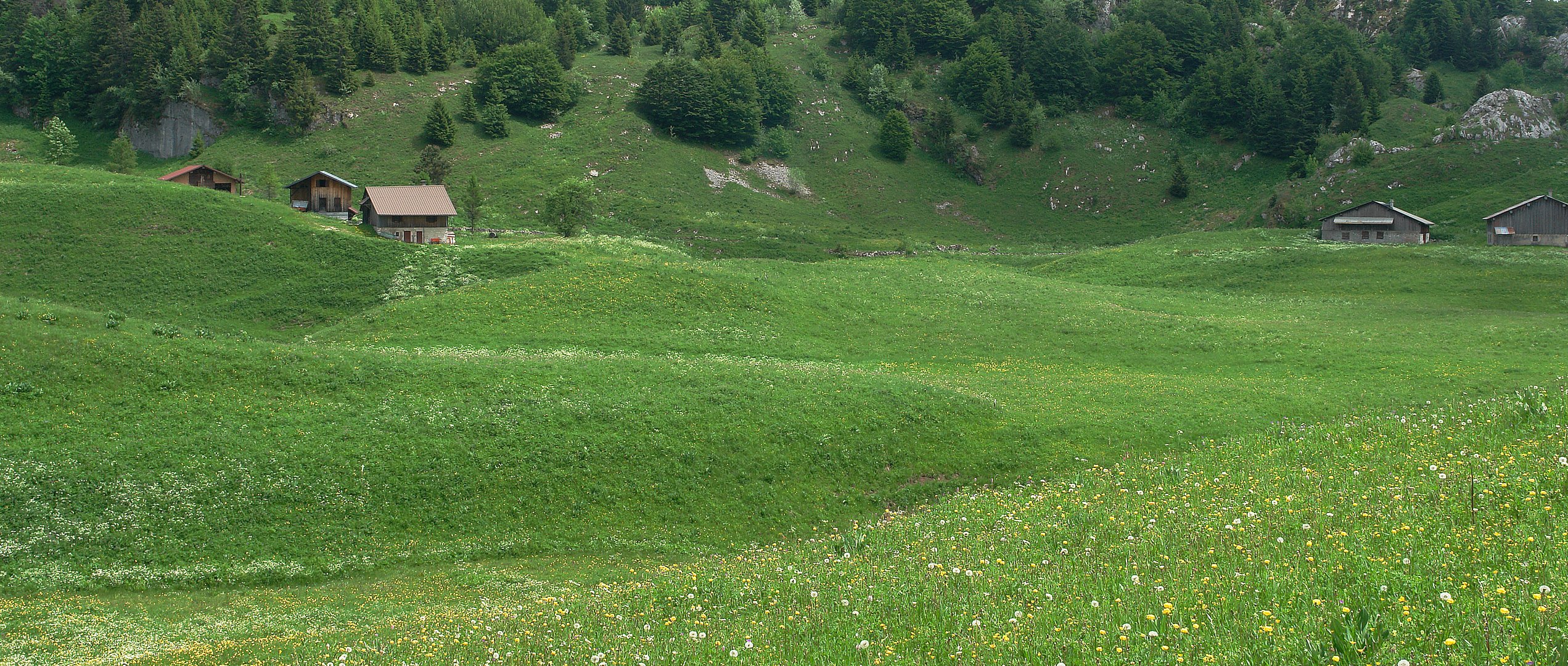 Alm in Hochsavoyen (Frankreich)