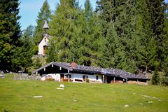 Alm nahe der Hindenburghütte 20170927