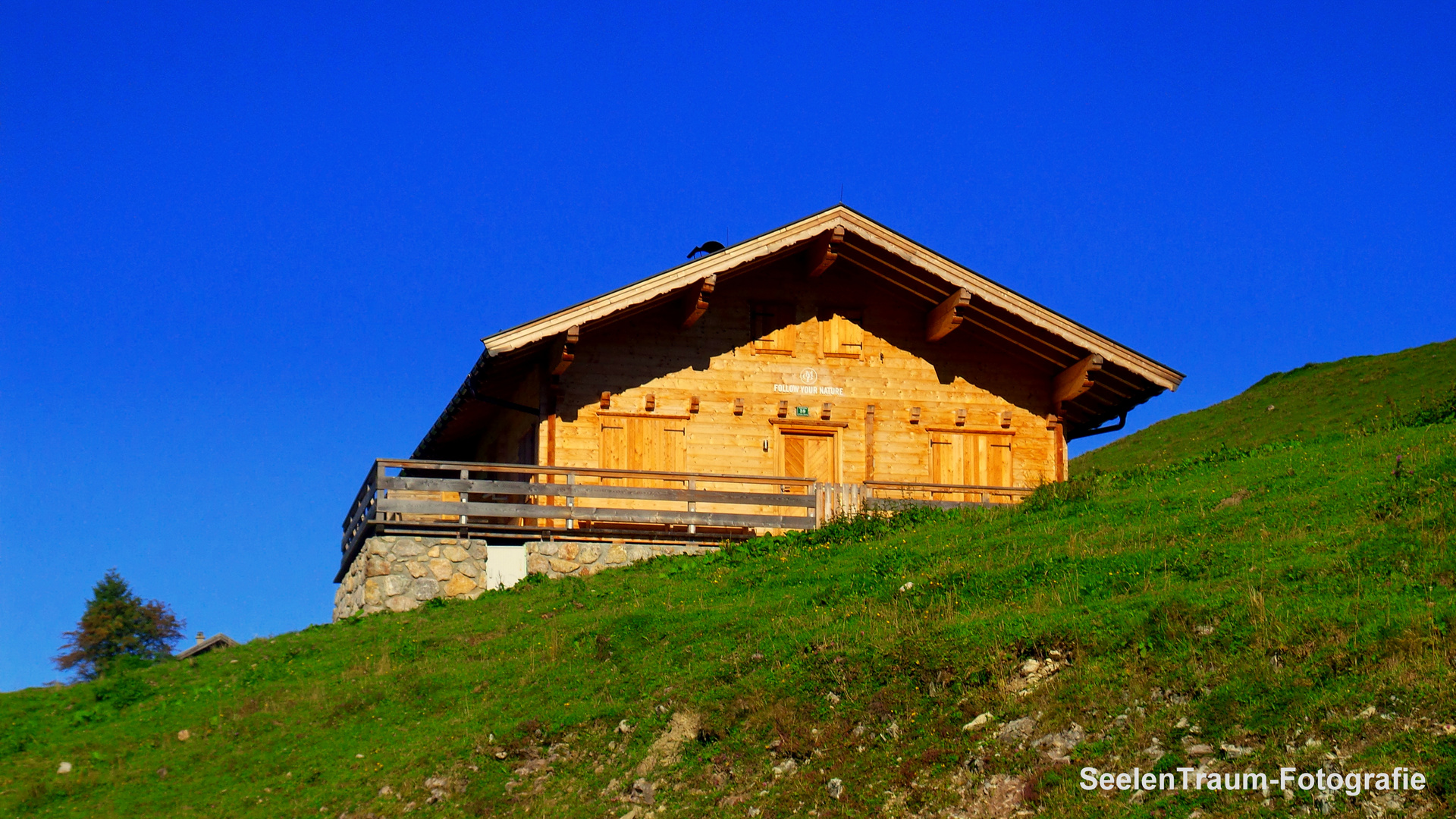 Alm Österreich Morgens himmelblau Almwiese