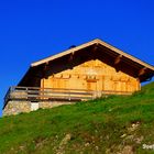 Alm Österreich Morgens himmelblau Almwiese