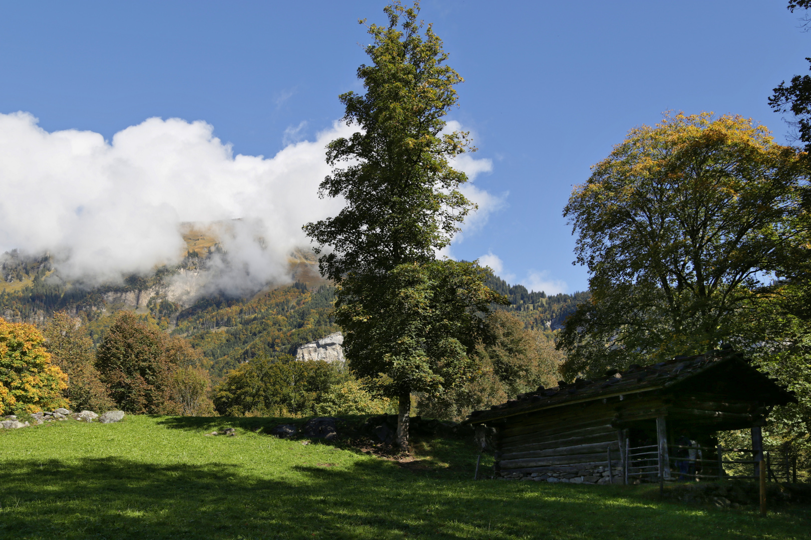 Alm und Kaser (2015_10_04_EOS 6D_8657_ji)