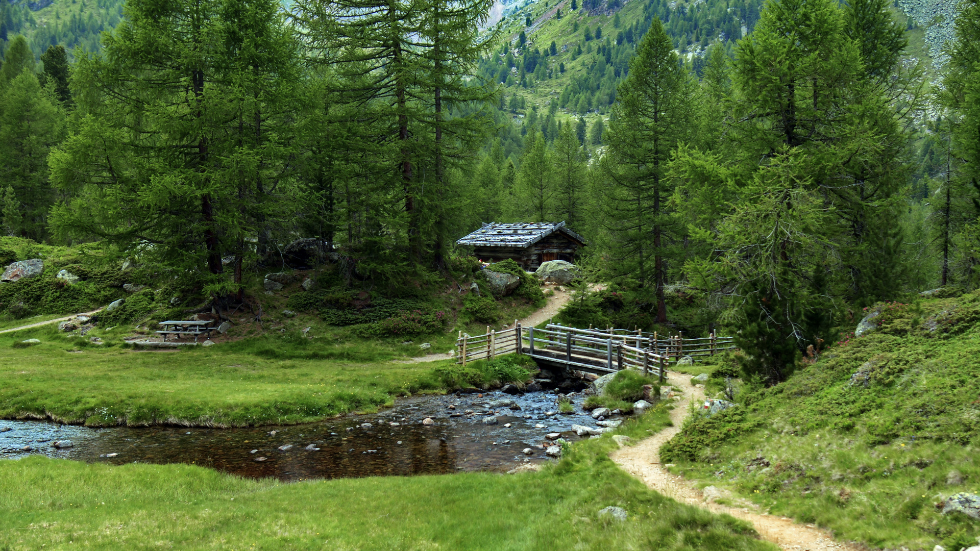 Alm - Wanderung