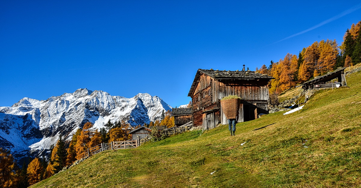 Alm - Wirtschaft - Mühlwald Südtirol