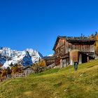 Alm - Wirtschaft - Mühlwald Südtirol