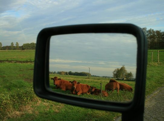 Alma, Berta - bitte lächeln!