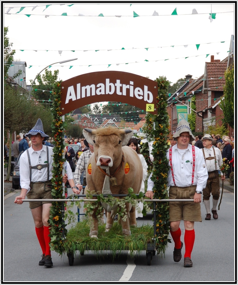 Almabtrieb.......