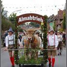 Almabtrieb.......