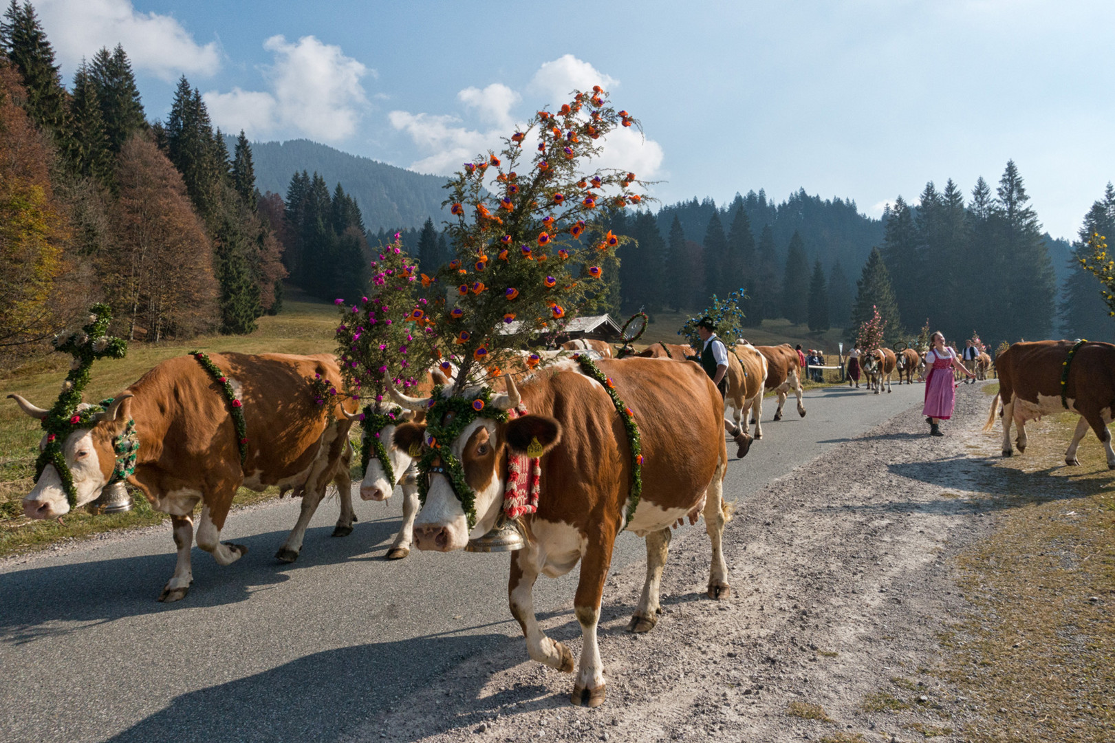 Almabtrieb am Tegernsee