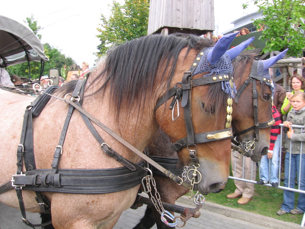 Almabtrieb an der Skihalle Neuss