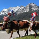 Almabtrieb bei Ramsau