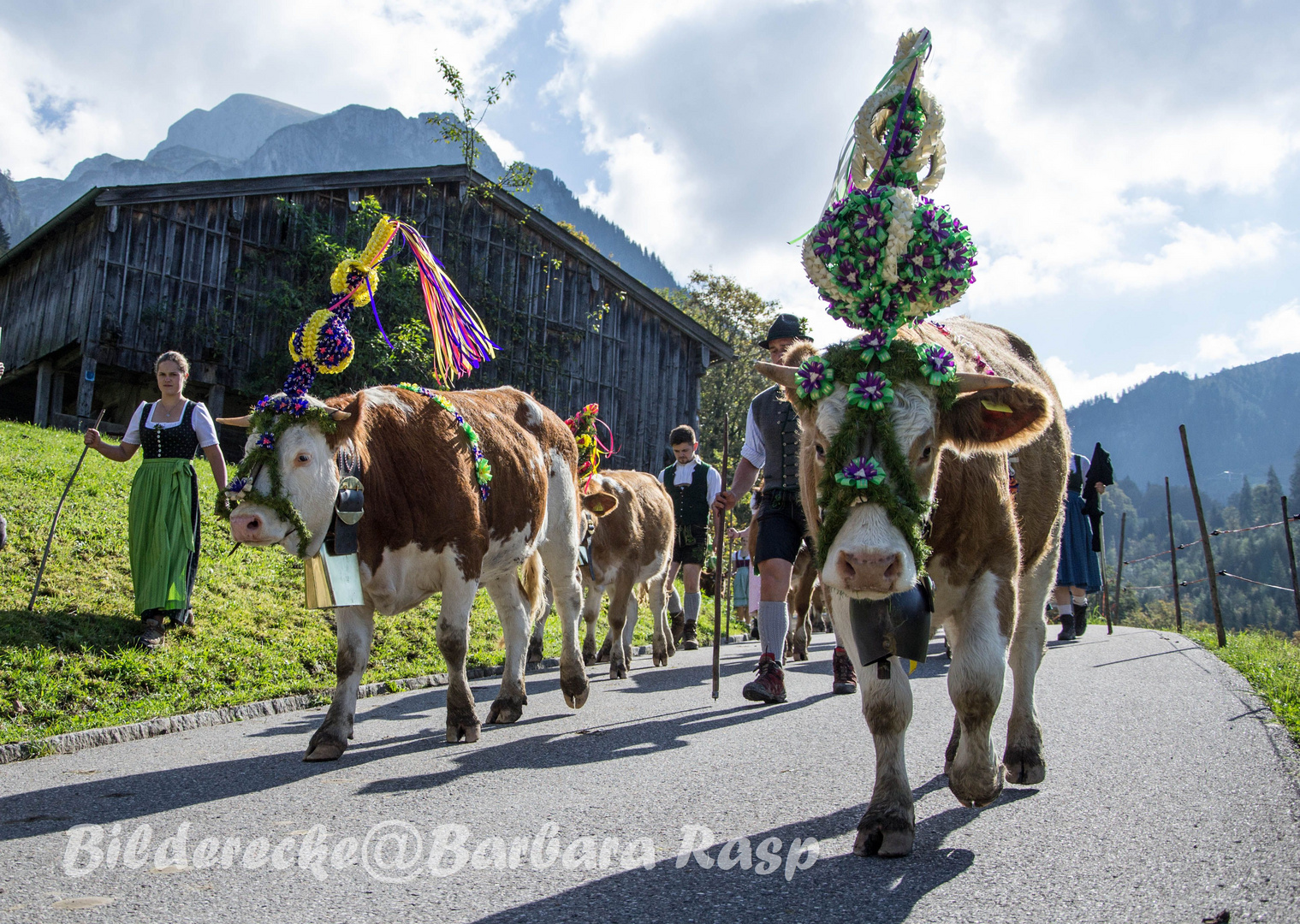 Almabtrieb im Berchtesgadener Land