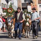 Almabtrieb in Mittenwald