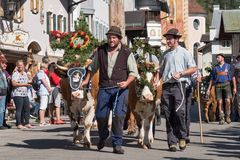 Almabtrieb in Mittenwald