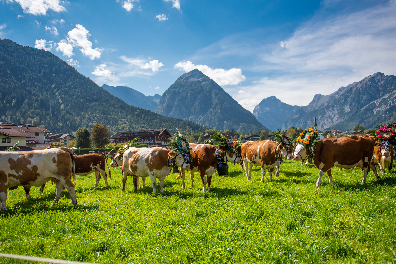 Almabtrieb in Pertisau