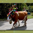 Almabtrieb in Ruhpolding