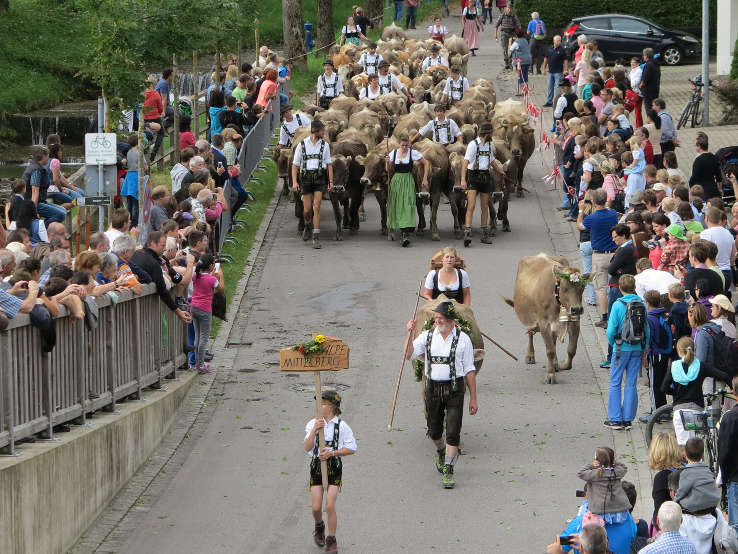 Almabtrieb nach Immenstadt