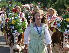 "Almabtrieb nicht nur in den Bergen"