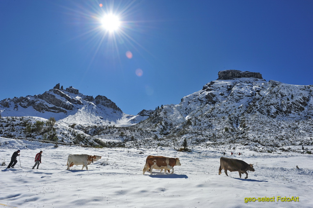 Almabtrieb Südtirol