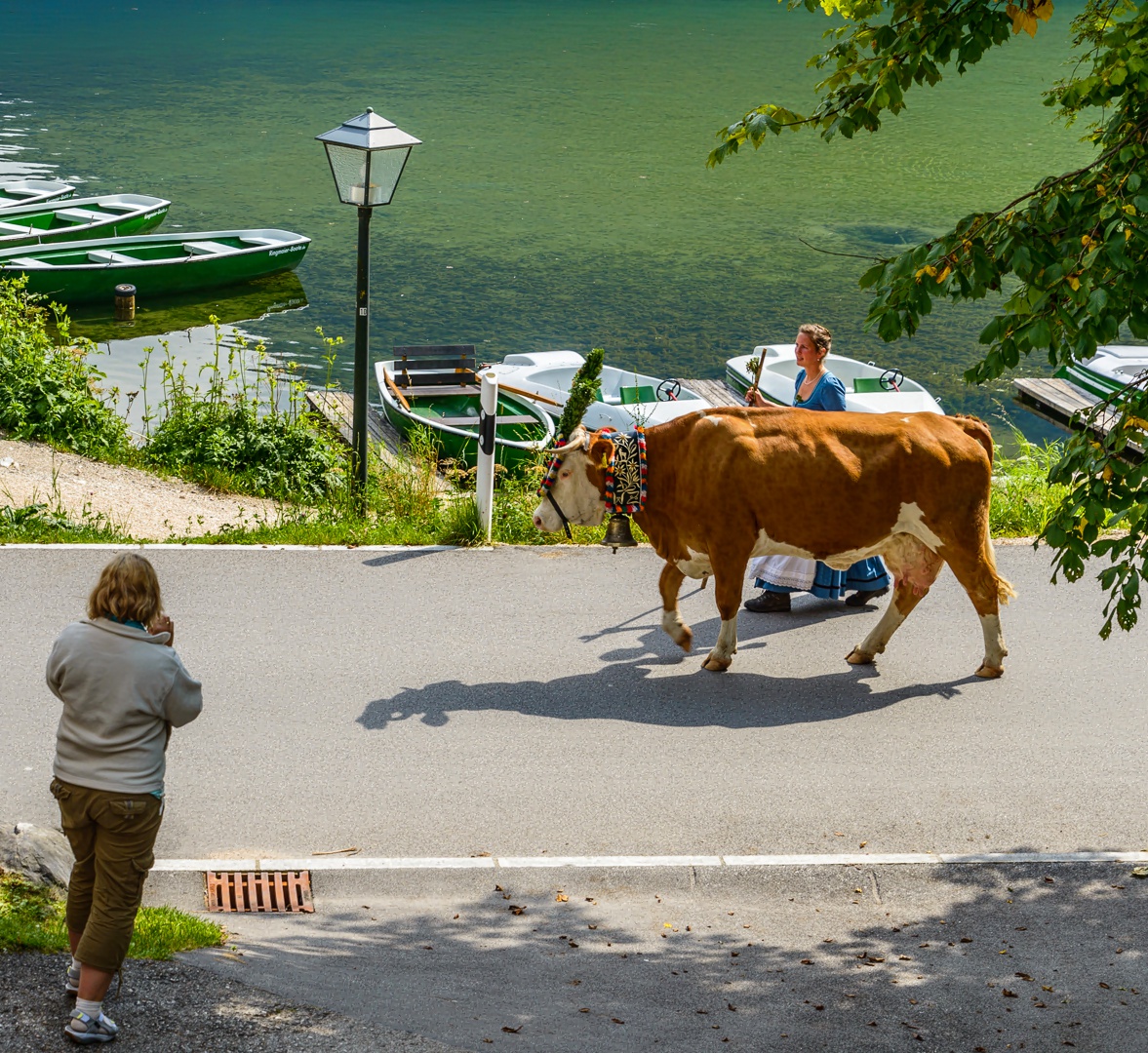 Almabtrieb Viehscheid  am Hintersee