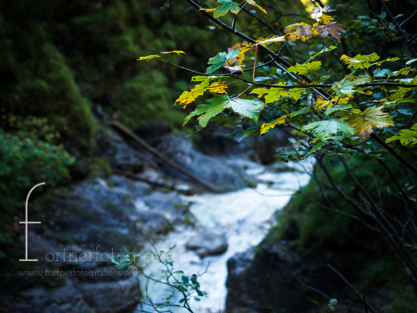 Almbachklamm - September 2017 - Erste Botschaften des Herbstes