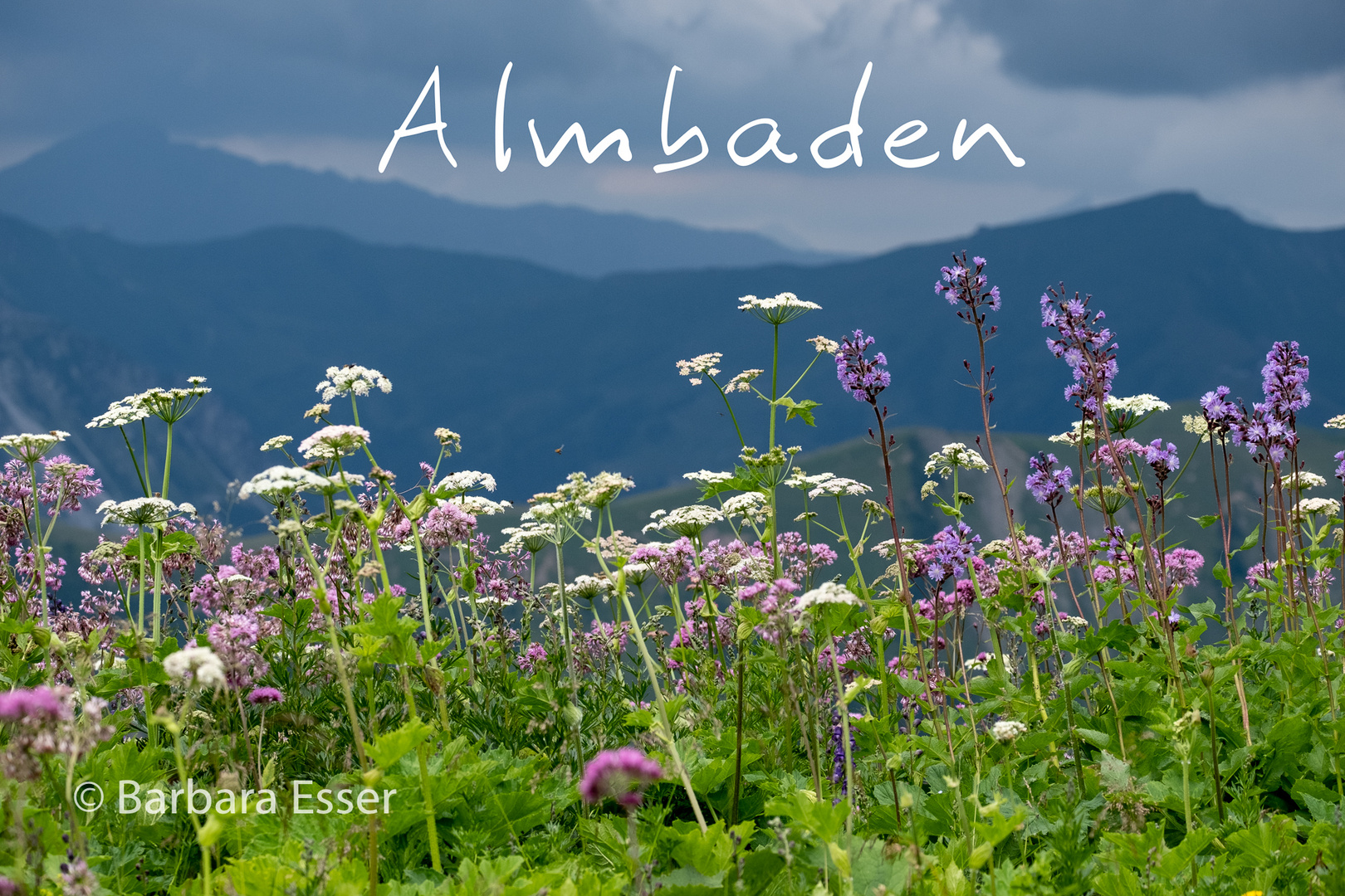 Almbaden - Allgäuer Alpen. Aufstieg Rappenseehütte