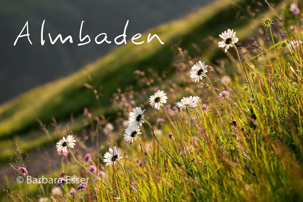 Almbaden - Allgäuer Alpen nähe Kreuzeck