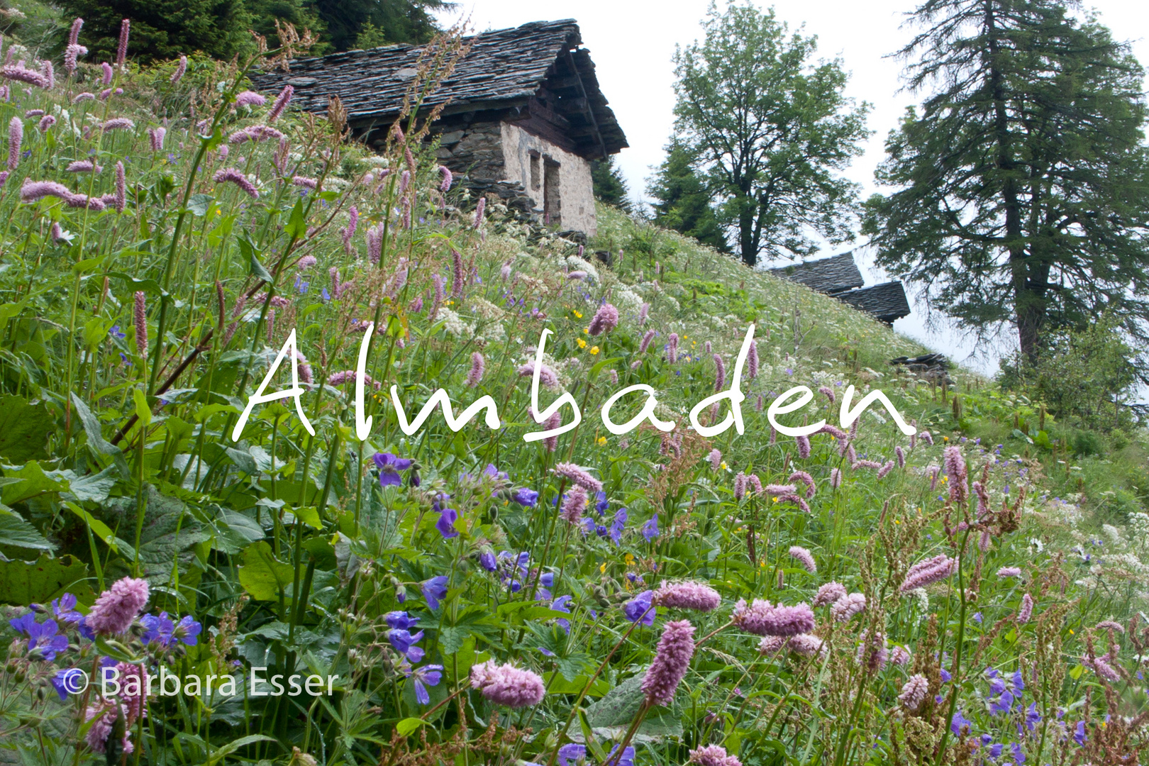 Almbaden - Bergell oberhalb von Soglio