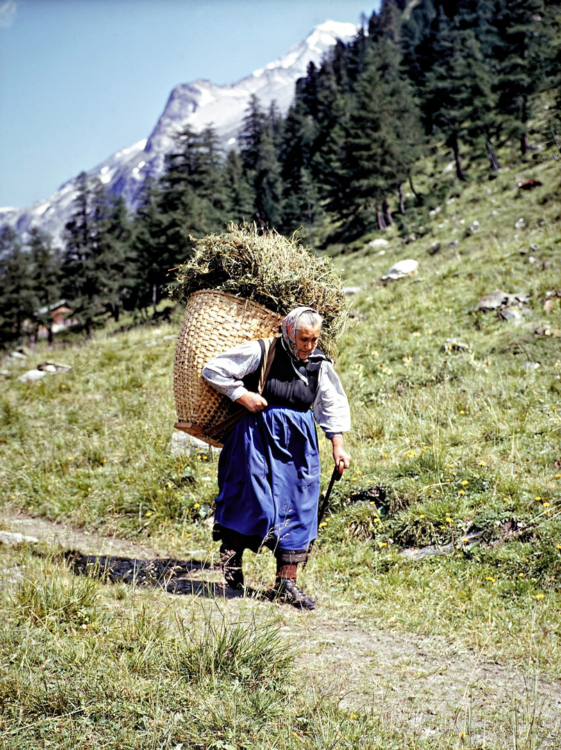 Almbäuerin in den Alpen 1958