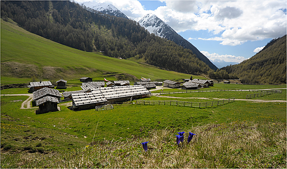 Almdorf in Südtirol