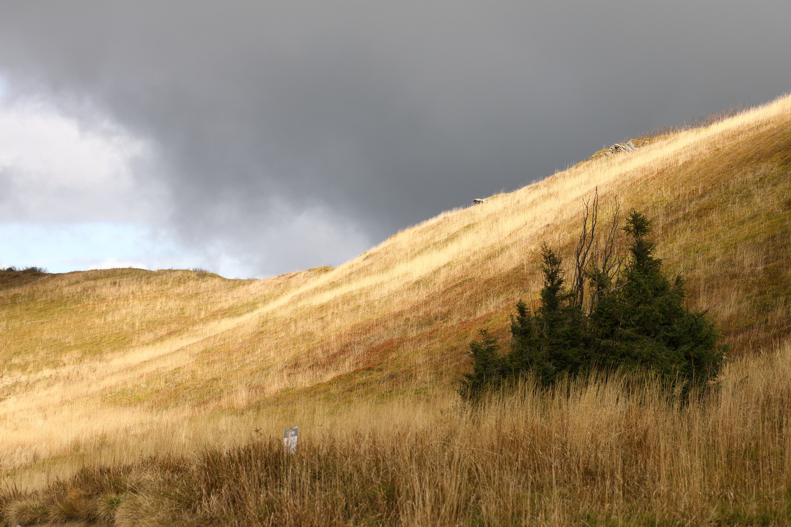 Almen im Herbst