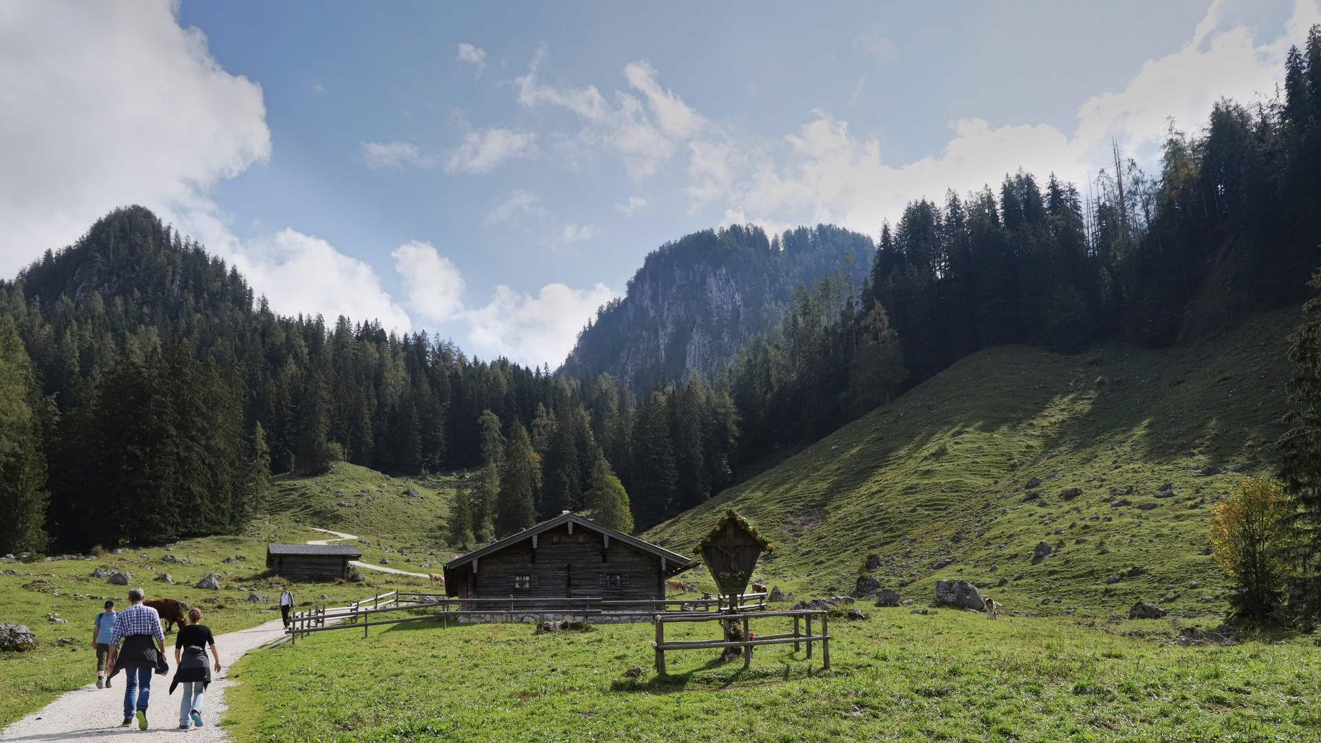 Almen oberhalb des Königssees (2018_09_15_EOS 6D Mark II_6672_ji)