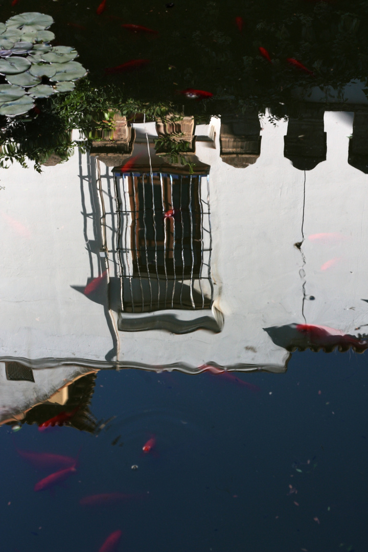 almenas, ventana y peces de colores