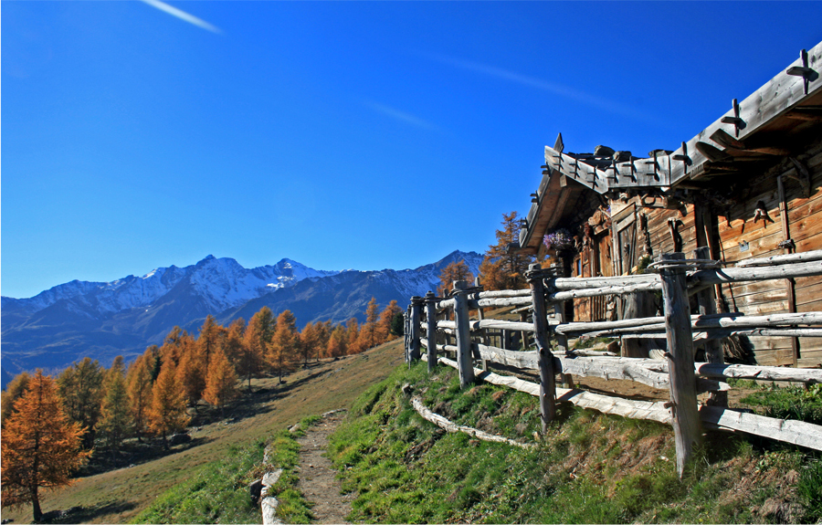 Almenherbst