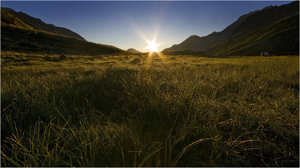 Almensommer in den Stubaier-Alpen